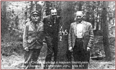 melnicuk