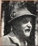 nemec